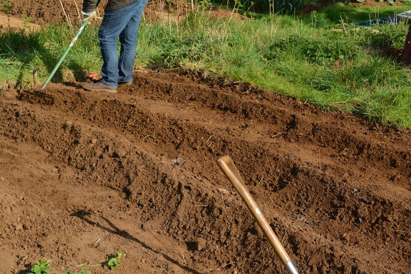 Landscape Maintenance